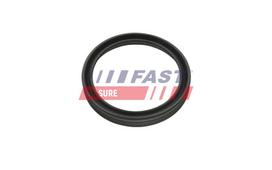 Tarpiklis, turbinos oro žarna FAST FT48956