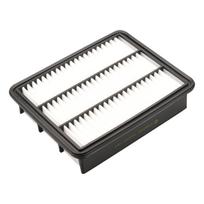 Oro filtras Castrol Filters CA0163
