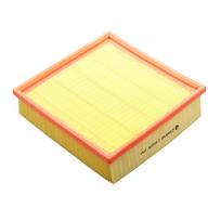 Oro filtras Castrol Filters CA0206