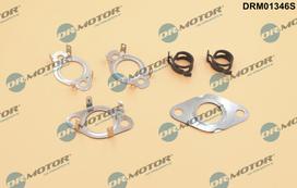 Tarpiklių rinkinys, AGR sistema Dr.Motor Automotive DRM01346S