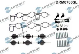 Remonto komplektas, įsiurbimo kolektoriaus modulis Dr.Motor Automotive DRM0780SL
