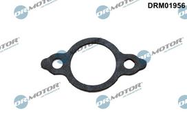 Tarpiklis, EGR vožtuvo vamzdelis Dr.Motor Automotive DRM01956