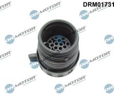 Prij. korpusas, automatinė pavarų dėžė (valdymo blokas) Dr.Motor Automotive DRM01731
