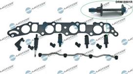 Remonto komplektas, įsiurbimo kolektoriaus modulis Dr.Motor Automotive DRM18801R