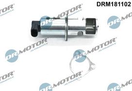 ERG vožtuvas Dr.Motor Automotive DRM181102