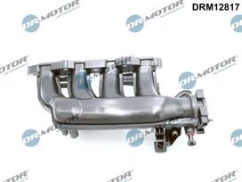 Įsiurbimo kolektoriaus modulis Dr.Motor Automotive DRM12817