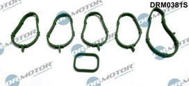 Tarpiklių rinkinys, įsiurbimo kolektorius Dr.Motor Automotive DRM0381S