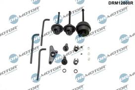 Remonto komplektas, įsiurbimo kolektoriaus modulis Dr.Motor Automotive DRM12808R
