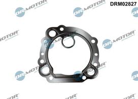Sandarinimo žiedas, AGR aušintuvas Dr.Motor Automotive DRM02827