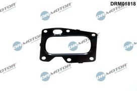 Tarpiklis, EGR vožtuvas Dr.Motor Automotive DRM01818