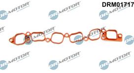 Tarpiklis, įsiurbimo kolektorius Dr.Motor Automotive DRM01717
