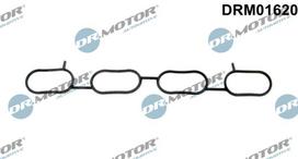 Tarpiklis, įsiurbimo kolektorius Dr.Motor Automotive DRM01620