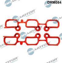 Tarpiklių rinkinys, įsiurbimo kolektorius Dr.Motor Automotive DRM084