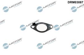Tarpiklis, EGR vožtuvas Dr.Motor Automotive DRM03087
