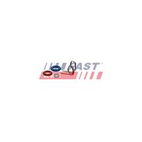Remonto komplektas, siurblio-purkštukų blokas FAST FT01837