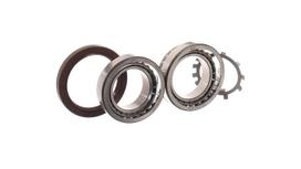 Rato guolio komplektas SKF VKBA 6700