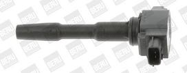 Ritė, uždegimas BorgWarner (BERU) ZSE131