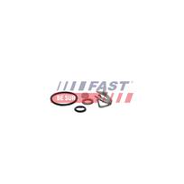 Remonto komplektas, siurblio-purkštukų blokas FAST FT01834