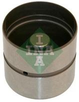 Svirtis/kumštelis Schaeffler INA 420 0220 10