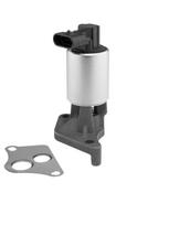 ERG vožtuvas BORGWARNER 712060D