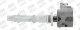 Ritė, uždegimas BorgWarner (BERU) ZSE140