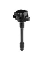 Ritė, uždegimas BorgWarner (BERU) ZSE295