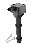 Ritė, uždegimas BorgWarner (BERU) ZS178