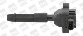 Ritė, uždegimas BorgWarner (BERU) ZS041