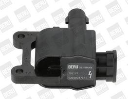 Ritė, uždegimas BorgWarner (BERU) ZSE197