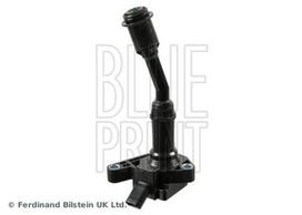 Ritė, uždegimas BLUE PRINT ADBP140036