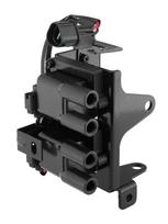 Ritė, uždegimas BorgWarner (BERU) ZS611