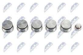 Remonto komplektas, įsiurbimo kolektoriaus modulis NTY BKS-FT-008
