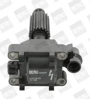 Ritė, uždegimas BorgWarner (BERU) ZS308