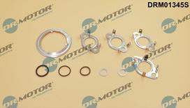 Tarpiklių rinkinys, AGR sistema Dr.Motor Automotive DRM01345S