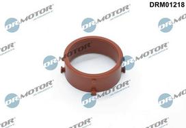 Tarpiklis, turbinos oro žarna Dr.Motor Automotive DRM01218