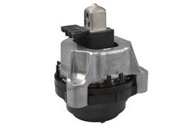 Variklio montavimas TEDGUM TED72231