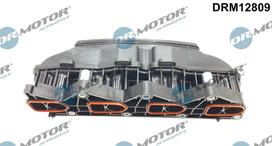 Įsiurbimo kolektoriaus modulis Dr.Motor Automotive DRM12809