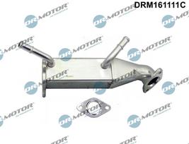 Aušintuvas, išmetamųjų dujų recirkuliacija Dr.Motor Automotive DRM161111C