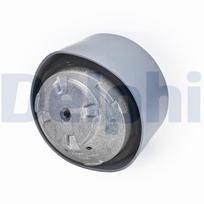 Variklio montavimas DELPHI TEM202