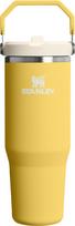 Stanley Terminis puodelis su rankena ir šiaudeliu IceFlow 2.0 Daffodil 890 ml