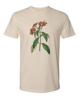 Cottage Cult Clothing Tee T Shirt 100% Cotton Victorian Botanical Milkweed Witch L