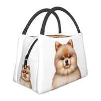 Cute Pomeranian Drawing Lunch Bags Insulated Bento Box Lunch Tote Picnic Bags Cooler Thermal Bag for Woman Kids School 28x17x16cm
