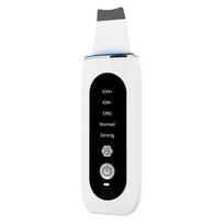 Red and Blue Light Ultrasonic Blackhead Remover & Photon Beauty Device English