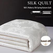 Boya Home Antibacterial Tussah Silk Quilt 220cm x 240cm