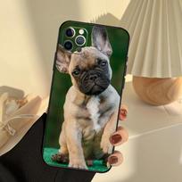 French Bulldog Dog Phone Case For iPhone 13 16 15 11 12 14 17 Pro Max 12 mini 15 16 Plus 16e 17 Air Cover Funda iPhone 16e