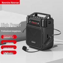 Newmine MS19 Wireless Voice Amplifier with Headset Mic CN plug (adapter included)