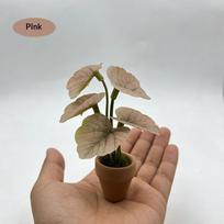 textureMiniature Taro Turtle Back Plant Artificial Green Potted Decor Table Ornament for Dollhouse Office Home Decoration