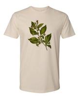 Cottage Cult Clothing Tee T Shirt 100% Cotton Victorian Nightshade Goth Witch XL