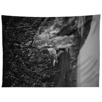BIG SUR WILD FLOWERS tapestry 75x100 juoda