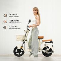 Y16-DZ Electric Vehicle 1200W 45KM/H 100KM 48V 20Ah 14  ipx4 NFC Men's/Women's PL